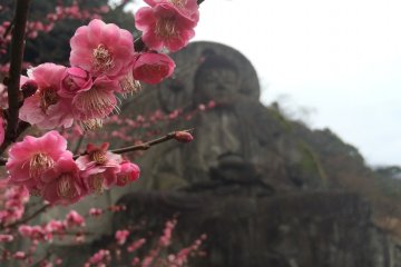 Behind the blossoms is the stone carved Buddha.