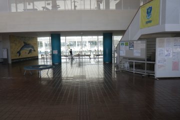 No photos allowed of the pool. This is the view as you enter the main lobby