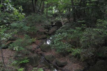 <p>Beautiful forested area on the shrine grounds</p>