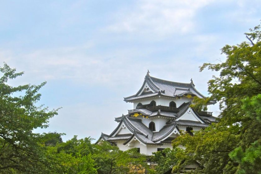 La tour du château de Hikone au dessus des arbres dans le Honmaru