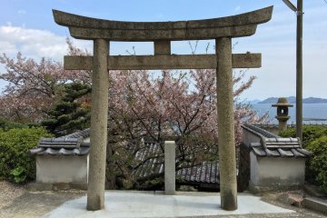 Entrance to Ioji Temple