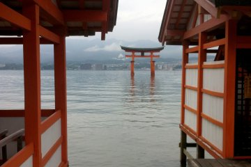 The view of the Toriimon gate from the Shrine