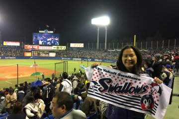 Go! Go! Swallows! Even if you don't know the songs, just follow along with the chants.