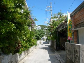 Um dos muitos caminhos na única aldeia da ilha
