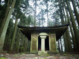 Một ngôi đền phủ rêu