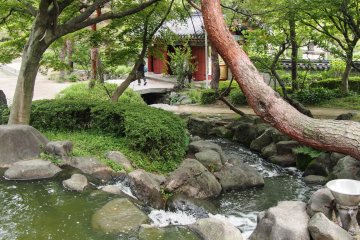 The Korean Garden