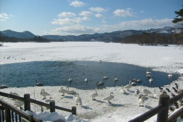 ฤดูหนาวที่ทะเลสาบโอะนุมะ