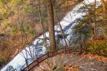 Located directly next to these falls is a footpath which will take you down to an observation deck