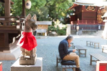 Shrine guarded by fox statutes 