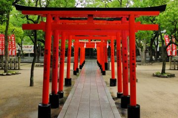 a torii path in front of an auxillary shrine