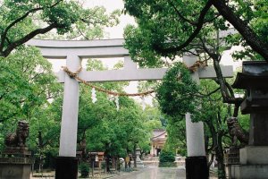 The largest torii of the shrine, over the main walkway (my digital camera had ran out of battery so I had switched to film at this point)