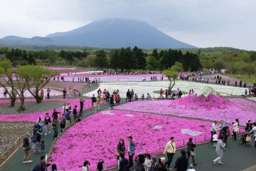 從展望廣場的景色，被遮蓋住的富士山依然非常巨大雄偉