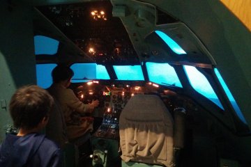 Inside a flight simulator