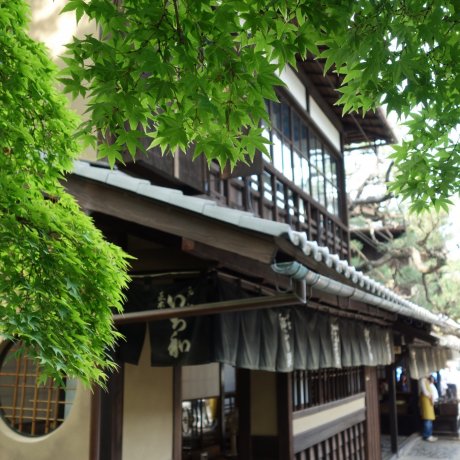 Aburi-mochi at Ichiwa &amp; Kazariya