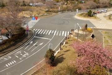 <p>The place is painted in pink with cherry blossoms</p>