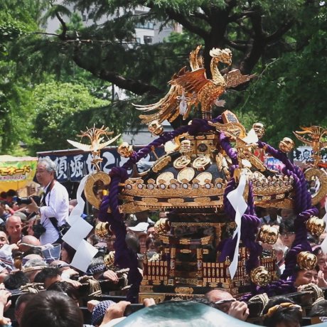 เทศกาล Sanja Matsuri 