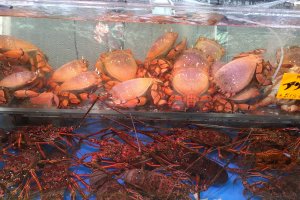Live crabs and lobsters in tanks