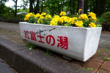 The road up to the onsen is lined with marked pots of marigold flowers