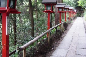 At the start of the Kurama-Kifune hiking trail lanterns line the path