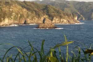 The amazing Izu Peninsula