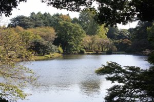 Vue sur un des étangs et début de couleurs d'automne