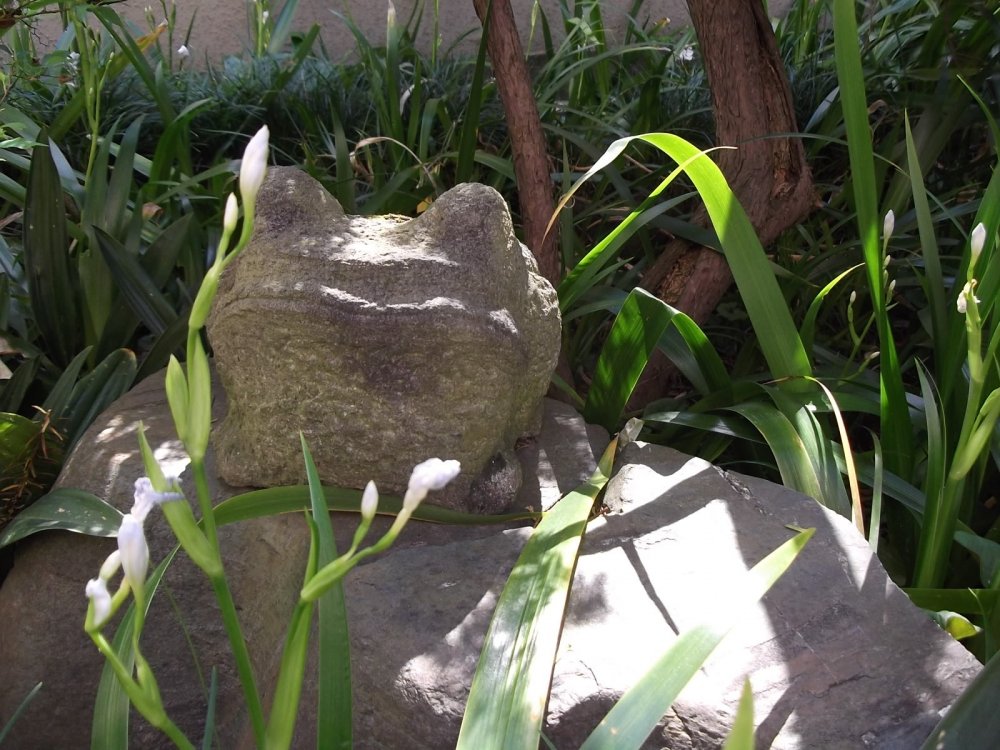 Another frog turned to stone