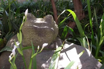 Another frog turned to stone