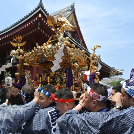 Фестиваль Сандзя в Токио