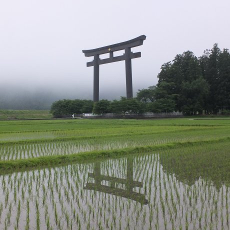 Kumano Hongu's Oyunohara Torii Gate