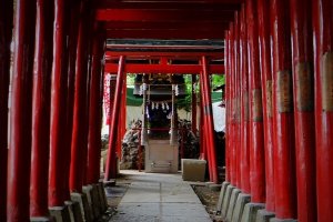 Torii gates leading to an auxiliary shrine