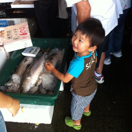 Mitsuhama Morning Fish Market