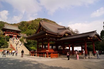 Tourists and pigeons flock around the Tsurugaoka Hachimon-gu temple complex