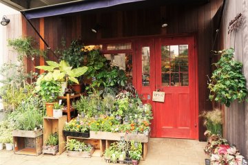 隱身在神樂坂的花園咖啡廳-Jardin nostalgique