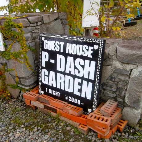 P-Dash Garden