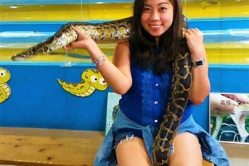 Me and a huge python. Behind the smile is a really scared girl.