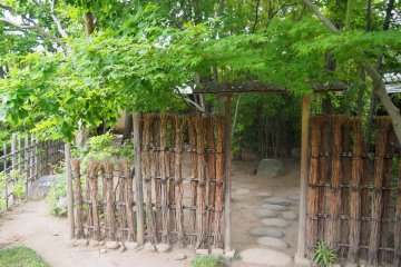 Gate of the tea garden