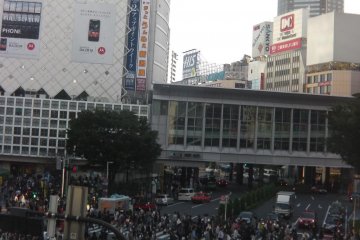 位於東京中心的澀谷十字路口