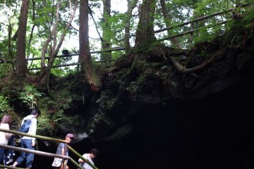 Entrance to Narusawa Cave