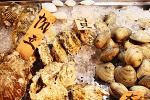 You can find all types of seafood in Gado-shita