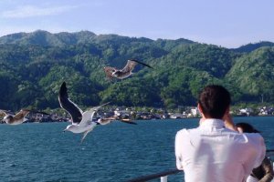 Be free as a bird in the skies above Northern Kyoto Prefecture