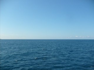 Hello open sea