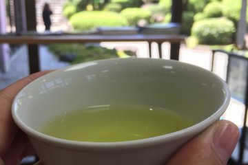 Matcha Green Tea at the Tourist Center