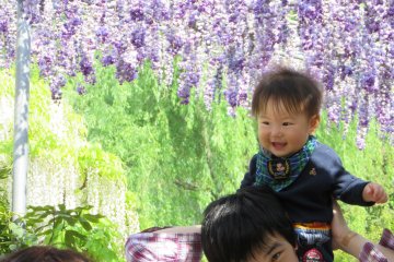 Японцы очень любят цветы и часто приходят в парки семьями