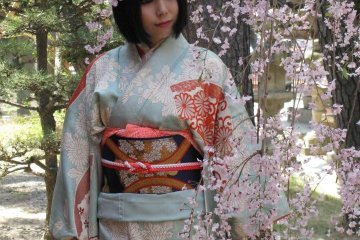 Young girl posing for the photos with sakura