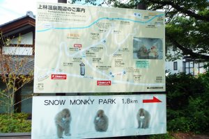 1.8 kilometers to the Monkey Park