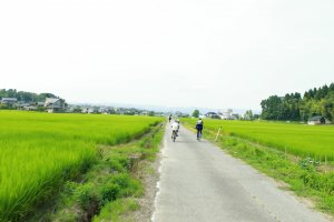 Toyama Bay Cycling Courses