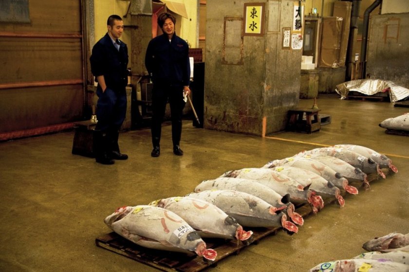 Enchère de thons au marché de poissons de Tsukiji