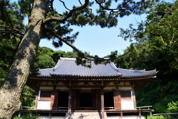 Main hall of old Tomyoji temple