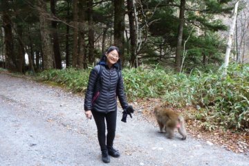 A monkey passing by Miwa