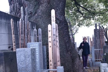 Anita stands beside a giant kusunuki tree. This camphor tree has been living for centuries at Kanno-ji Temple-Cemetery next to Yanaka Cemetery